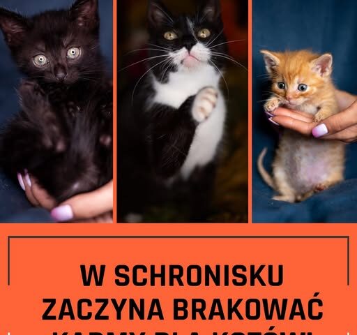 Schroniska "TOZ Fauna"