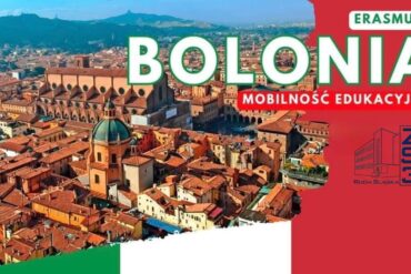 Zbiórka karmy dla zwierząt!