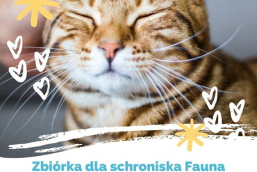 Talenciaki poszukiwane!