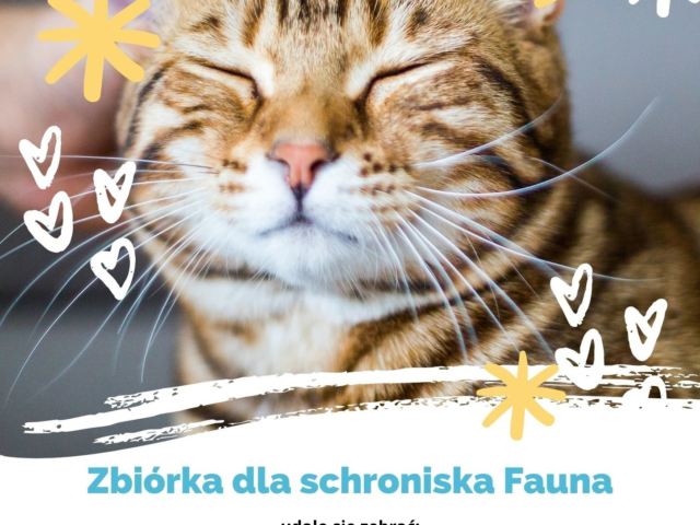 Grafika informacyjna o zbiórce karmy dla zwierząt.